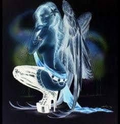 Ámor bar Night Club