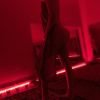 Desert Rose Grzybowska - Erotic Massage Warsaw & SPA, Tantra & Nuru Massage Warsaw