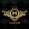 Harem Club