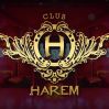 Harem Club