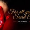 Scarlet Club