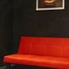 Phénix Club