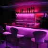 Night Club Piranha